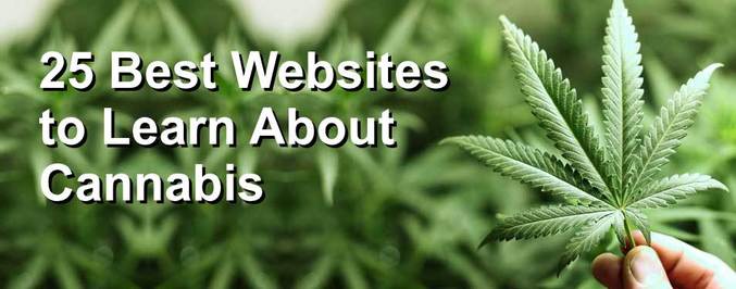 best-cannabis-websites